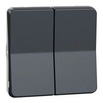 MurevaStyl 106+6 kettős váltókapcsoló betét szürke csavaros IP55 2- billentyű/gomb Schneider