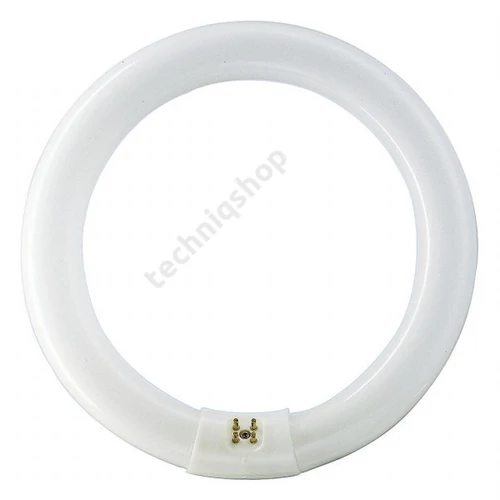 Fénycső általános T9 G10q 40W 3100lm 865 13000h MASTER TL-E Circular Super 80 40W/865 1CT Philips